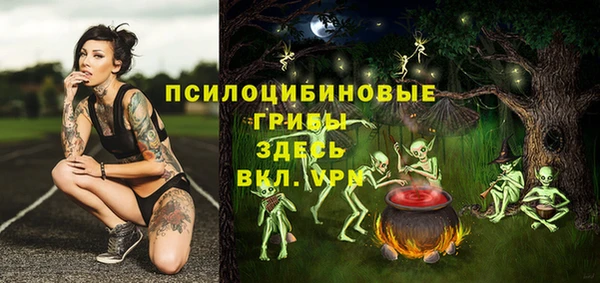 тгк Няндома