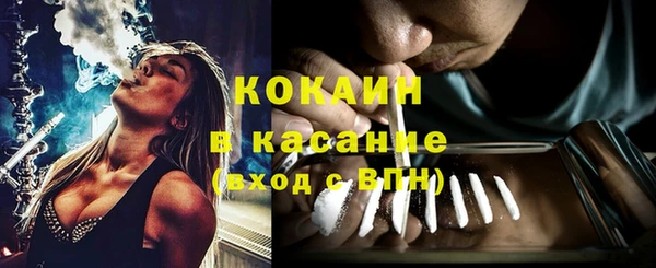 тгк Няндома
