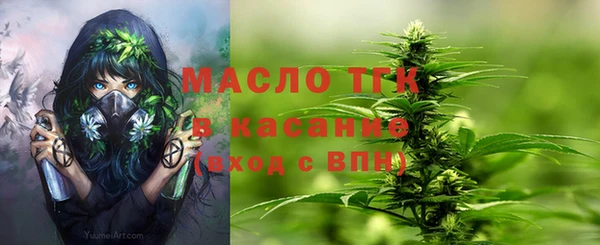 тгк Няндома