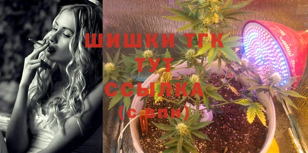 тгк Няндома